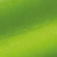 Lemon green